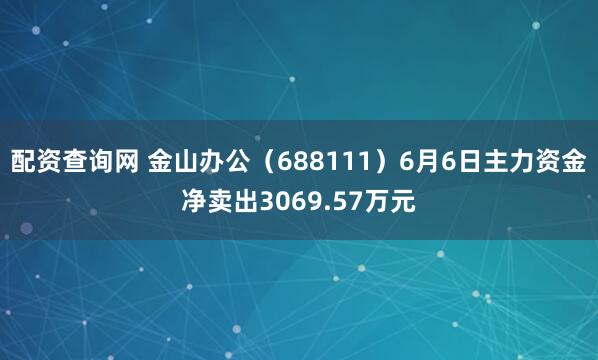 配资查询网 金山办公（688111）6月6日主力资金净卖出3069.57万元
